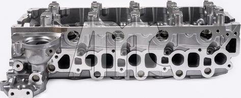 Wilmink Group WG2112787 - Головка циліндра autocars.com.ua