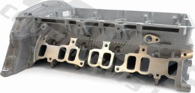 Wilmink Group WG2122407 - Головка циліндра autocars.com.ua