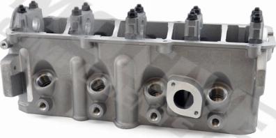 Wilmink Group WG2122508 - Головка циліндра autocars.com.ua