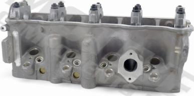 Wilmink Group WG2122510 - Головка циліндра autocars.com.ua