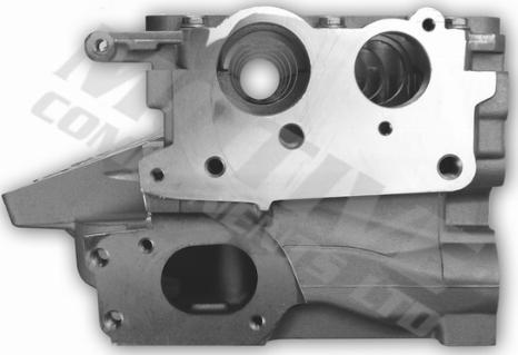 Wilmink Group WG2122529 - Головка циліндра autocars.com.ua