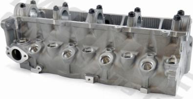 Wilmink Group WG2122533 - Головка циліндра autocars.com.ua