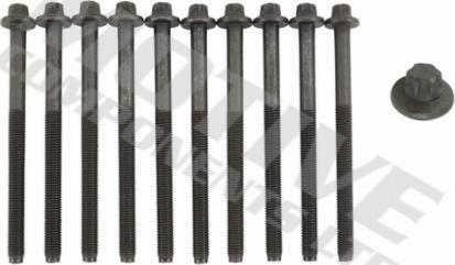 Wilmink Group WG2123097 - Комплект болтів головки циліндрів autocars.com.ua