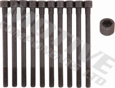 Wilmink Group WG2123162 - Комплект болтів головки циліндрів autocars.com.ua