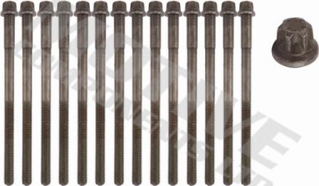 Wilmink Group WG2123211 - Комплект болтів головки циліндрів autocars.com.ua