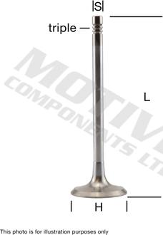 Wilmink Group WG2126169 - Впускний клапан autocars.com.ua