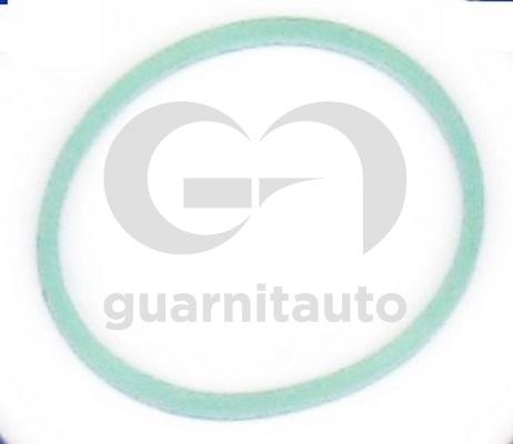 Wilmink Group WG2134853 - Прокладка, впускний колектор autocars.com.ua