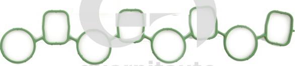 Wilmink Group WG2134879 - Прокладка, впускний колектор autocars.com.ua