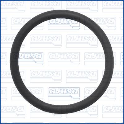 Wilmink Group WG2171899 - Кільце ущільнювача autocars.com.ua