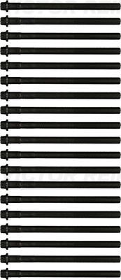 Wilmink Group WG2175317 - Комплект болтів головки циліндрів autocars.com.ua