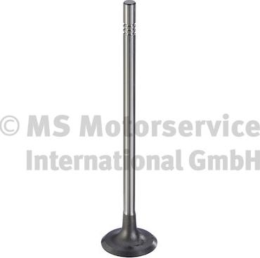 Wilmink Group WG2177493 - Впускний клапан autocars.com.ua