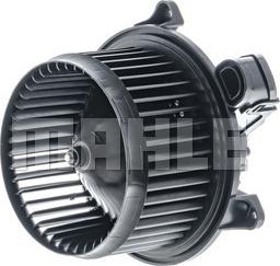 Wilmink Group WG2179878 - Вентилятор салону autocars.com.ua