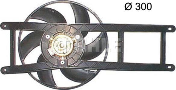 Wilmink Group WG2180744 - Вентилятор, охолодження двигуна autocars.com.ua