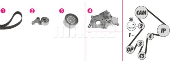 Wilmink Group WG2182116 - Водяний насос + комплект зубчатого ременя autocars.com.ua