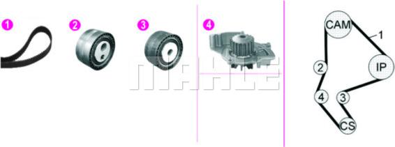 Wilmink Group WG2182132 - Водяний насос + комплект зубчатого ременя autocars.com.ua