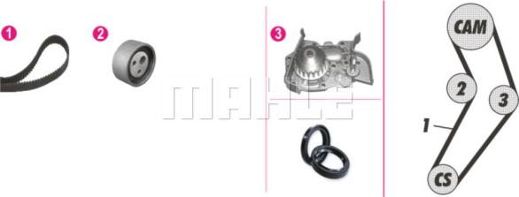 Wilmink Group WG2182182 - Водяной насос + комплект зубчатого ремня autodnr.net