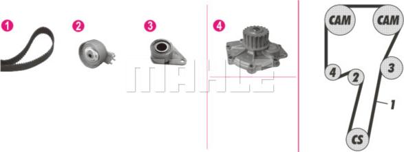 Wilmink Group WG2182215 - Водяной насос + комплект зубчатого ремня autodnr.net