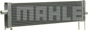 Wilmink Group WG2182430 - Радіатор, охолодження двигуна autocars.com.ua