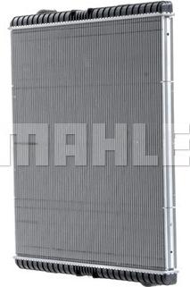 Wilmink Group WG2182949 - Радіатор, охолодження двигуна autocars.com.ua