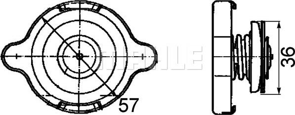 Wilmink Group WG2184184 - Кришка, радіатор autocars.com.ua