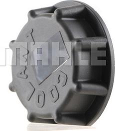 Wilmink Group WG2184246 - Кришка, резервуар охолоджуючої рідини autocars.com.ua