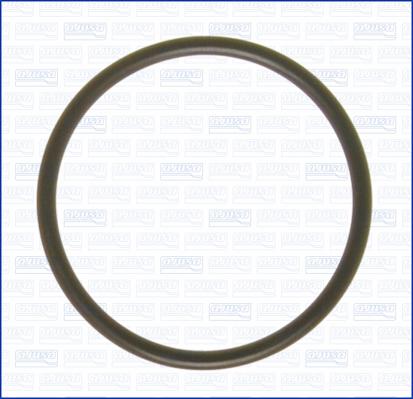 Wilmink Group WG2187675 - Кільце ущільнювача autocars.com.ua