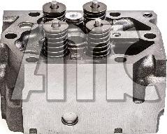 Wilmink Group WG2191684 - Головка циліндра autocars.com.ua