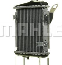 Wilmink Group WG2193122 - Радіатор, охолодження двигуна autocars.com.ua