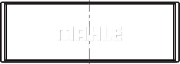 Wilmink Group WG2197534 - шатуни підшипник autocars.com.ua