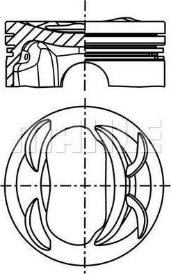 Wilmink Group WG2200949 - Поршень autocars.com.ua