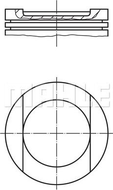 Wilmink Group WG2201190 - Поршень autocars.com.ua