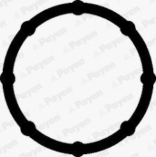 Wilmink Group WG2202407 - Прокладка, впускний колектор autocars.com.ua