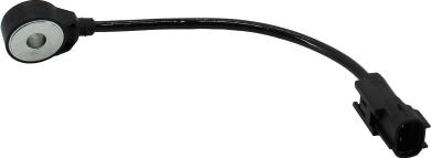 Wilmink Group WG2263018 - Датчик детонації autocars.com.ua