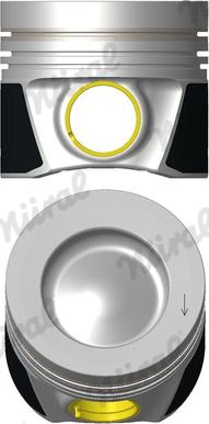 Wilmink Group WG2294359 - Поршень autocars.com.ua