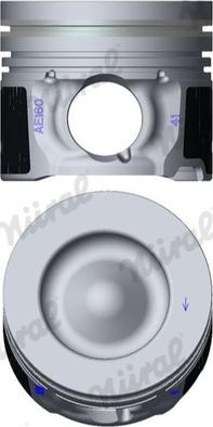 Wilmink Group WG2338991 - Поршень autocars.com.ua