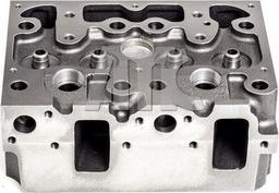 Wilmink Group WG2339756 - Головка циліндра autocars.com.ua