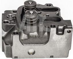 Wilmink Group WG2339760 - Головка циліндра autocars.com.ua