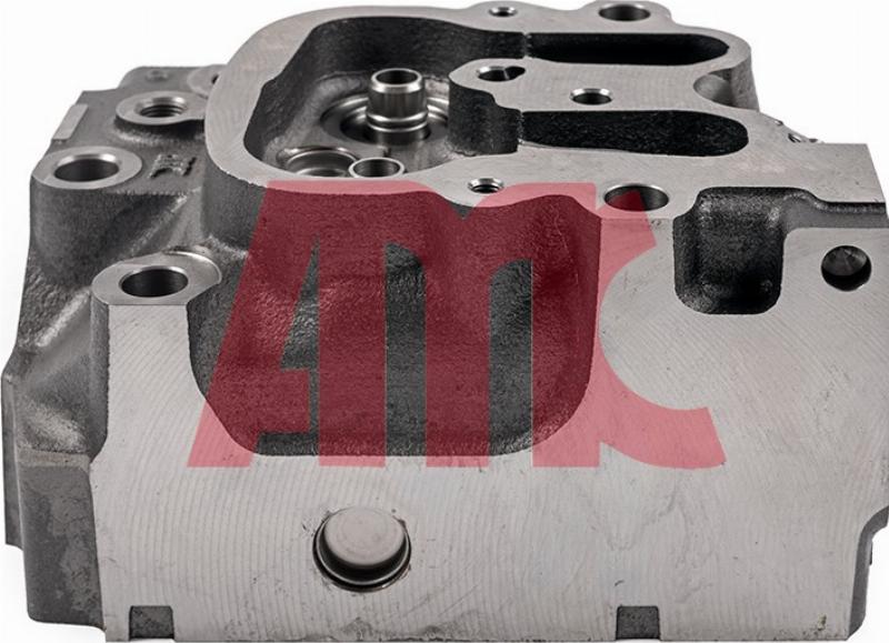 Wilmink Group WG2339766 - Головка циліндра autocars.com.ua