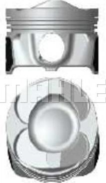 Wilmink Group WG2356354 - Поршень autocars.com.ua