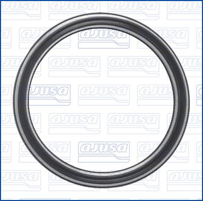 Wilmink Group WG2362338 - Прокладка autocars.com.ua