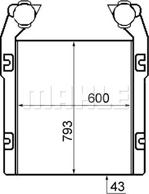 Wilmink Group WG2370843 - Интеркулер autocars.com.ua