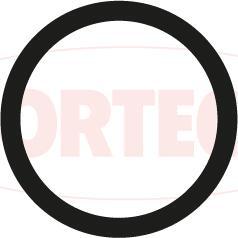 Wilmink Group WG2375771 - Прокладка, термостат autocars.com.ua