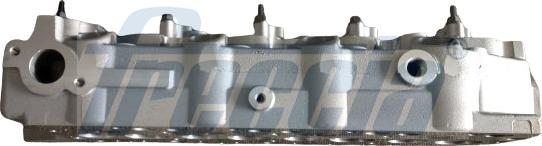 Wilmink Group WG2396138 - Головка циліндра autocars.com.ua