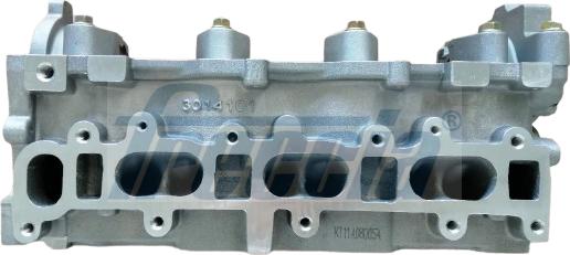 Wilmink Group WG2396147 - Головка циліндра autocars.com.ua