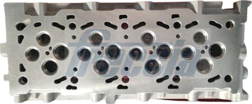 Wilmink Group WG2396153 - Головка циліндра autocars.com.ua