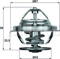 Wilmink Group WG2401487 - Термостат, охлаждающая жидкость autodnr.net