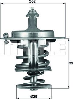 Wilmink Group WG2401529 - Термостат, охлаждающая жидкость autodnr.net