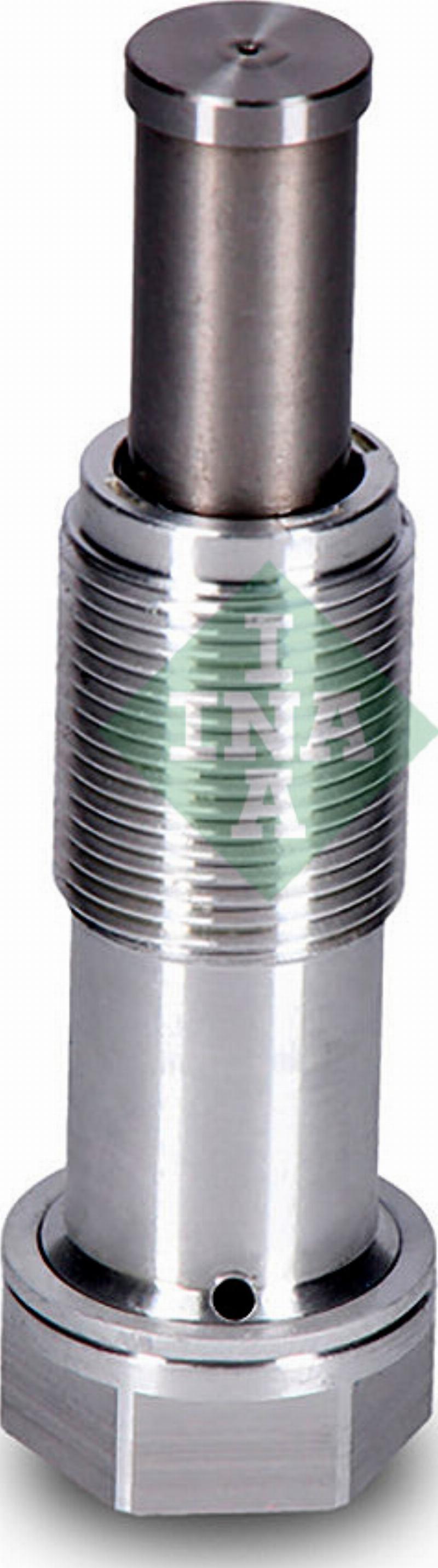 Wilmink Group WG2464416 - натягувач, ланцюг приводу autocars.com.ua