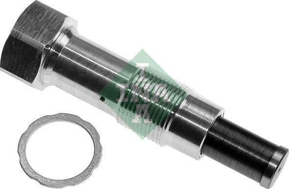 Wilmink Group WG2464425 - натягувач, ланцюг приводу autocars.com.ua