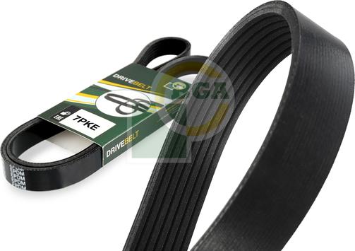 Wilmink Group WG2474261 - Поликлиновой ремінь autocars.com.ua